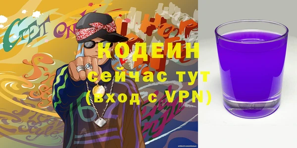молекула духа Весьегонск