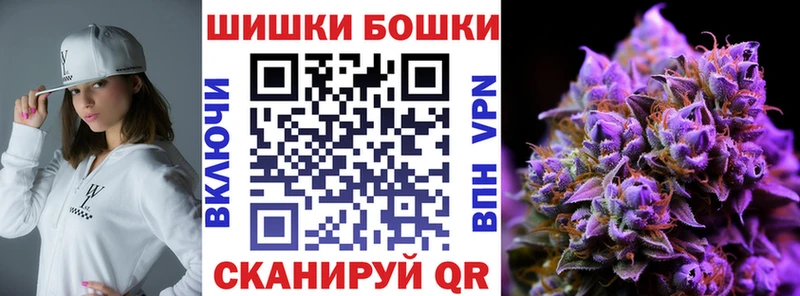 Конопля сатива Кущёвская
